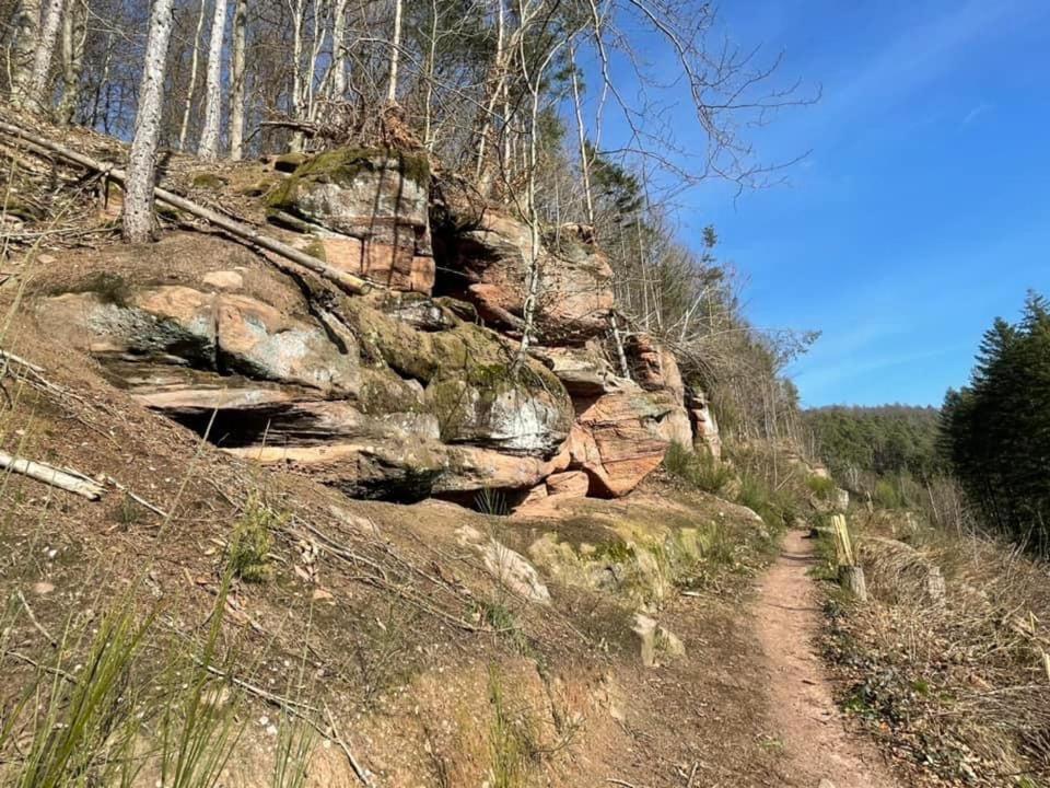 Ferienwohung Am Felsenwanderweg Im Pfaelzerwald Apartment Rodalben Bagian luar foto