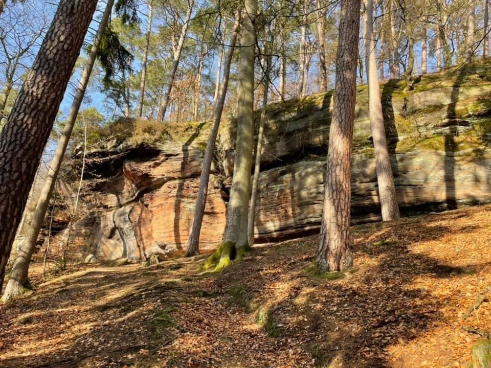 Ferienwohung Am Felsenwanderweg Im Pfaelzerwald Apartment Rodalben Bagian luar foto