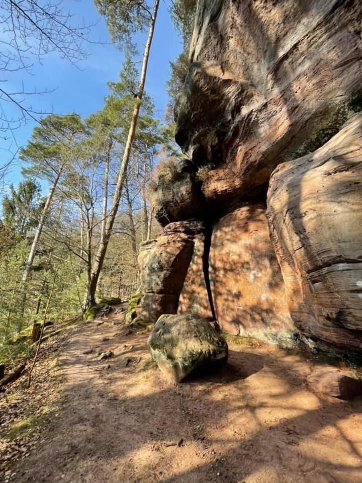 Ferienwohung Am Felsenwanderweg Im Pfaelzerwald Apartment Rodalben Bagian luar foto